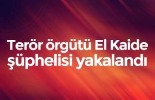 Terör örgütü El Kaide şüphelisi yakalandı