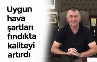 Uygun hava şartları fındıkta kaliteyi artırdı