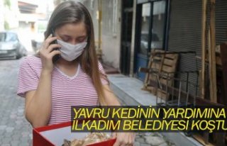 YAVRU KEDİNİN YARDIMINA İLKADIM BELEDİYESİ KOŞTU