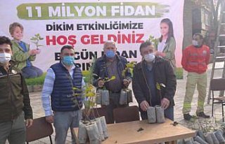 Alaplı'da fidan dağıtımı