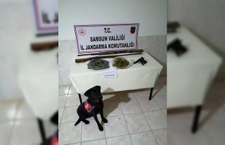 Bafra'da jandarmadan uyuşturucu ve silah operasyonu
