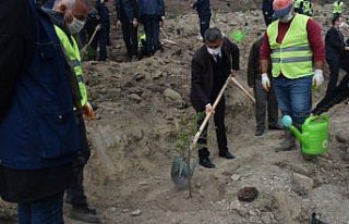 Boyabat'ta fidanlar toprakla buluşturuldu