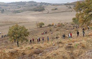 Havza'da fidanlar toprakla buluşturuldu