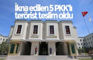 İkna edilen 5 PKK'lı terörist teslim oldu