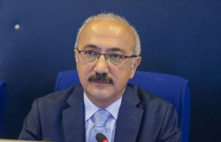 Lütfi Elvan: Hazine ve Maliye Bakanı olarak göreve...