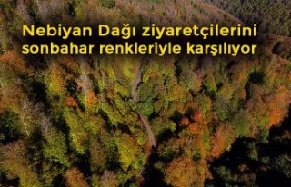 Nebiyan Dağı ziyaretçilerini sonbahar renkleriyle...