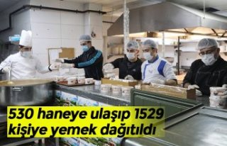 530 haneye ulaşıp 1529 kişiye yemek dağıtıldı
