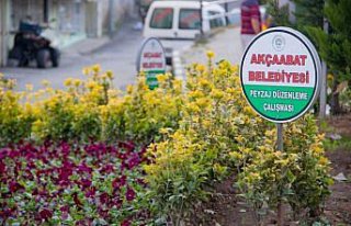 Akçaabat'ta çevre düzenleme çalışmaları