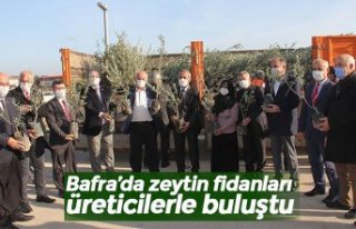 Bafra’da zeytin fidanları üreticilerle buluştu