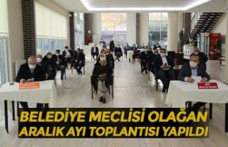 BELEDİYE MECLİSİ OLAĞAN ARALIK AYI TOPLANTISI...
