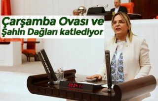 Çarşamba Ovası ve Şahin Dağları katlediyor