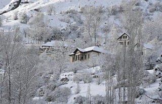 Doğu Karadeniz'de kar yağışı etkili oluyor