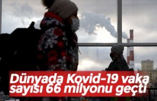 Dünyada Kovid-19 vaka sayısı 66 milyonu geçti