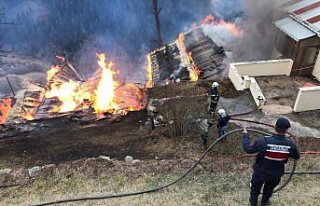 GÜNCELLEME 2 - Rize'de Gölyayla köyünde çıkan...