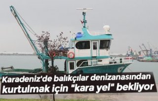 Karadeniz'de balıkçılar denizanasından kurtulmak...