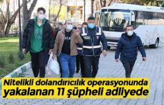 Nitelikli dolandırıcılık operasyonunda yakalanan...