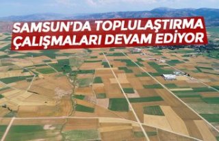 SAMSUN’DA TOPLULAŞTIRMA ÇALIŞMALARI DEVAM EDİYOR