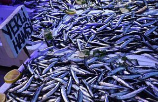 Yerelden verilsin lütfen Trabzon'da yılın son gününde...