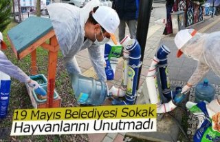 19 Mayıs Belediyesi Sokak Hayvanlarını Unutmadı