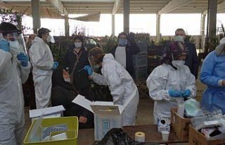 Alaplı'da pazarcı esnafına Kovid-19 testi yapıldı
