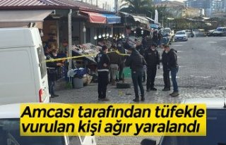 Amcası tarafından tüfekle vurulan kişi ağır...