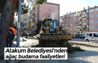 Atakum Belediyesi'nden ağaç budama faaliyetleri