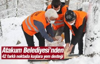Atakum Belediyesi’nden 42 farklı noktada kuşlara...