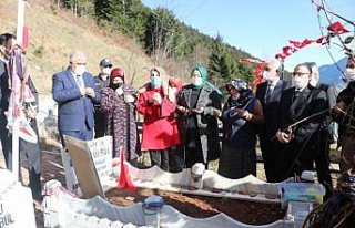 Bakan Zehra Zümrüt Selçuk, şehit Eren Bülbül'ün...