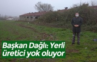 Başkan Dağlı: Yerli üretici yok oluyor