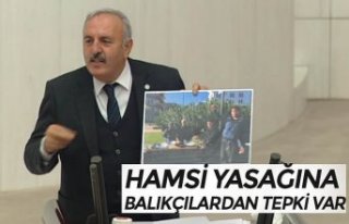 HAMSİ YASAĞINA BALIKÇILARDAN TEPKİ VAR