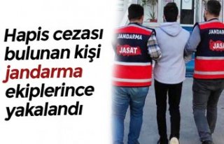 Hapis cezası bulunan kişi jandarma ekiplerince yakalandı