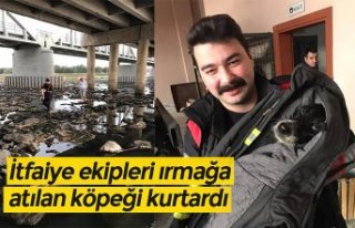 İtfaiye ekipleri ırmağa atılan köpeği kurtardı