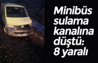 Minibüs sulama kanalına düştü: 8 yaralı
