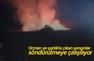 Orman ve sazlıkta çıkan yangınlar söndürülmeye...