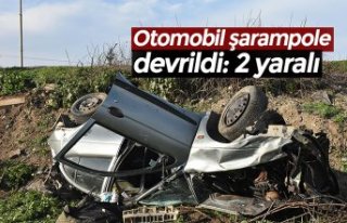 Otomobil şarampole devrildi: 2 yaralı