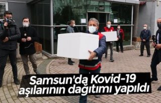 Samsun'da Kovid-19 aşılarının dağıtımı...