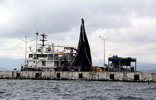 Sinop'ta balıkçılar kısmi hamsi avı yasağının...