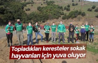 Topladıkları keresteler sokak hayvanları için...