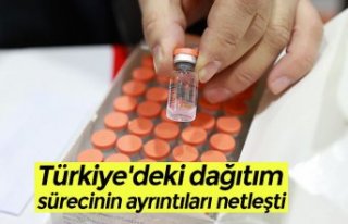 Türkiye'deki dağıtım sürecinin ayrıntıları...