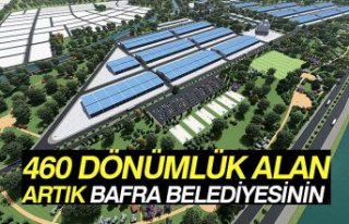 460 DÖNÜMLÜK ALAN ARTIK BAFRA BELEDİYESİNİN