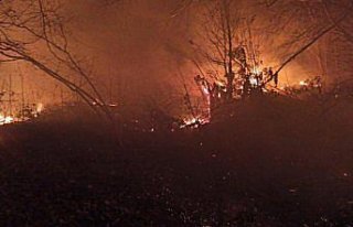 Akçakoca'daki orman yangını kontrol altına alındı