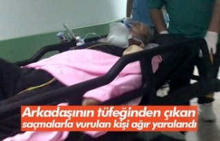 Arkadaşının tüfeğinden çıkan saçmalarla vurulan...