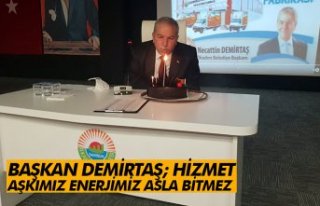 BAŞKAN DEMİRTAŞ; HİZMET AŞKIMIZ ENERJİMİZ ASLA...