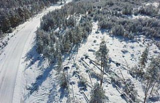 Bolu'da ormanlık alanlarda hasar tespit çalışması...