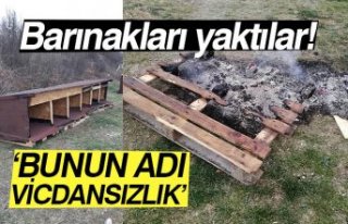 ‘BUNUN ADI VİCDANSIZLIK’