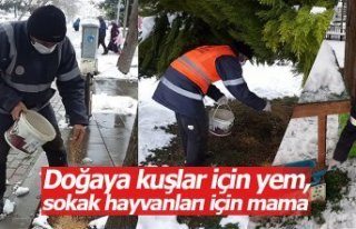 Doğaya kuşlar için yem, sokak hayvanları için...