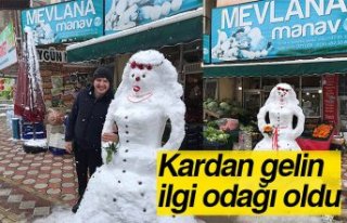 Kardan gelin ilgi odağı oldu