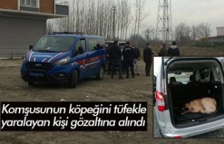 Komşusunun köpeğini tüfekle yaralayan kişi gözaltına...