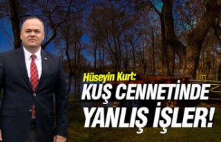 KUŞ CENNETİNDE YANLIŞ İŞLER!