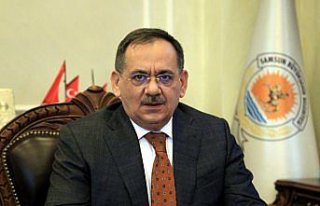 Nesli tehlike altındaki Sibirya kazı Samsun Kızılırmak...